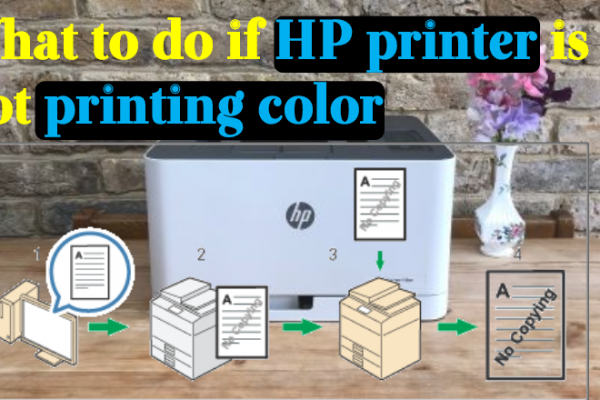What to do if HP printer is not printing color