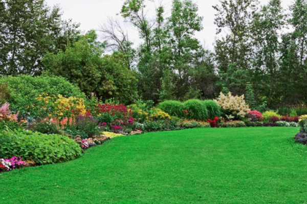 the best landscaping tip hire a professional landscaping service