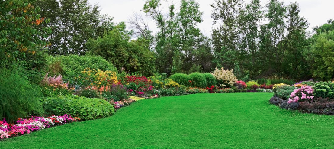 the best landscaping tip hire a professional landscaping service